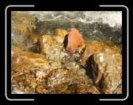 1.Mai-Ausflug 037 * 2848 x 2136 * (3.12MB)